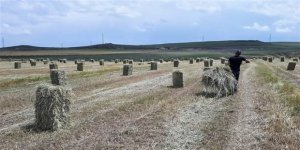 Kars’ta yüz yıllardır süregelen ot biçme yöntemi değişti