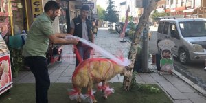 Gelin adayına "süslü koç gönderme geleneği" sürüyor