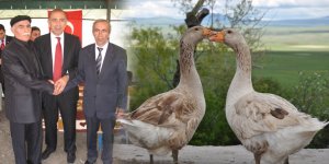 Tekin: "kaz, kar ve Kars ayrılmaz üçlüdür