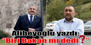 Alibeyoğlu yazdı: "Biri Bakan mı dedi?"