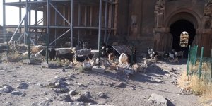Ani Ören Yeri mera vasfını koruyor