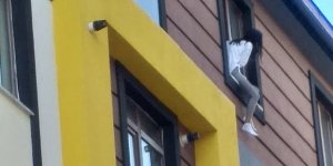 Kars’ta intihar girişimi