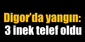 Digor’da yangın: 3 inek telef oldu