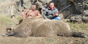 Kars’ta, avcılar tarafından vurulan en büyük yaban domuzu