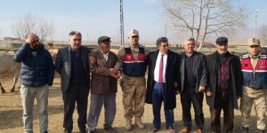 Çalıntı Hayvanlar Susuz'da Bulundu