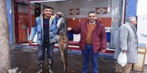 Kars’ta yerel balık bereketi