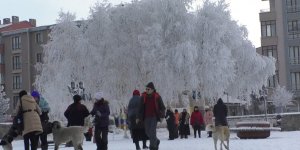 Kars eksi 19’u gördü
