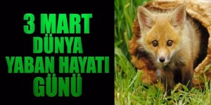 3 Mart Dünya Yaban Hayatı Günü