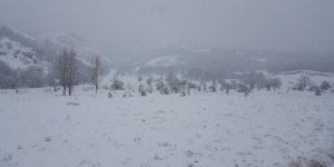 Doğuda tipi köy yollarını ulaşıma kapattı