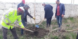  Arpaçay Belediyesi mezarlıkları ağaçlandırıyor