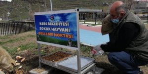 Kars Belediyesi Sokak Hayvanları İçin Beslenme Noktası Oluşturdu