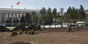 Kars Valiliğinin bahçesi yeşilleniyor