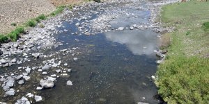 Kars Çayı’nda sular çekildi, balıklar mahsur kaldı