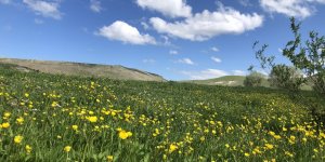 Kars 4 mevsim bir başka güzel
