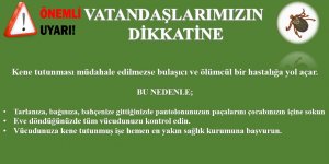 Kars Valiliğinden ‘kene’ uyarısı