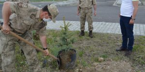 Sarıkamış’ta Jandarma 181. yıldönümünü fidan dikerek kutladı