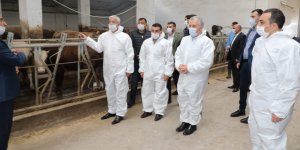 60 milyonluk proje bölgeye nefes olacak!