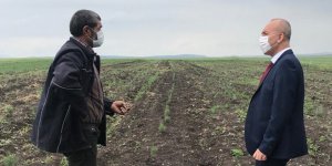 Kars’ta lavanta ekimi başladı!