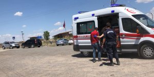 Kars’ta hayvan otlatma kavgası: 2 yaralı