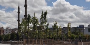 Tarihi Fethiye Cami ağaçlar arasında kayboldu