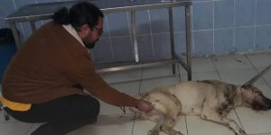 Başkan Altay ekipleri seferber etti