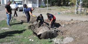 Kars’ta kuyuya düşen dana güçlükle kurtarıldı