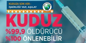 Kuduza son ver: işbirliği yap, aşılat