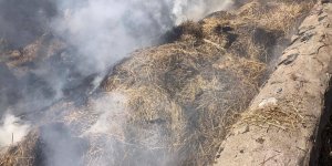 Sarıkamış’ta ot yangını