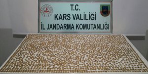 Kars’ta sikke yakalandı
