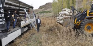 Susuz'dan İzmir'e 10 ton patates gönderildi