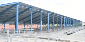 Selim hayvan pazarı kapatıldı