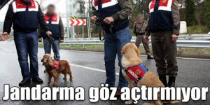 Sarıkamış’ta Jandarma uyuşturucu tacirlerine göz açtırmıyor
