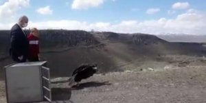 Kars’ta tedavisi tamamlanan akbaba doğaya bırakıldı