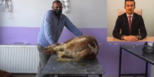 Veteriner Hekimleri Odası Başkanı Ödül : "Hayvanlardaki Corona Virüs ile İnsanlardaki Covid-19 Birbirinden Farklı "