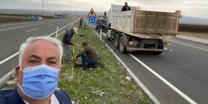  Arpaçay Belediyesi refüjleri ağaçlandırıyor
