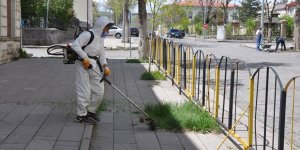 Kars’ta yabani otlar temizleniyor