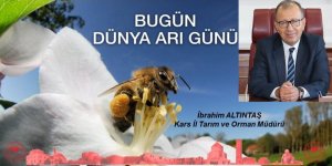 Kars İl Tarım ve Orman Müdürü İbrahim Altıntaş : “ Dünya Arı Günü kutlu olsun ”
