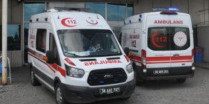 Kars'ta yayla kavgası: 3 yaralı!