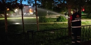 Kars Belediyesi yeşil alanlara sahip çıkıyor!