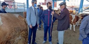 Kars İl Tarım ve Orman Müdürlüğü İl ve İlçelerde Hayvan Pazarlarını Denetliyor