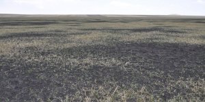 El birliği ile Kuyucuk Gölü kurutuldu!