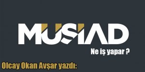 Olcay Okan Avşar yazdı: MÜSİAD ne iş yapar ?