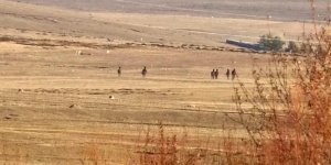 Kars’ta yılkı atlarının köpekleri kovalaması kameraya yansıdı