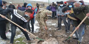 Kars’ta 2300 rakımda fidan dikimi