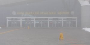 Kars’ta sis hayatı olumsuz etkiledi