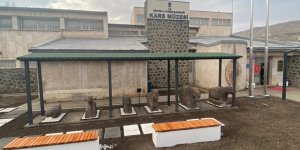 Kars Müzesi görenleri hayran bıraktı