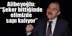 Kars Beyaz Kalmalı