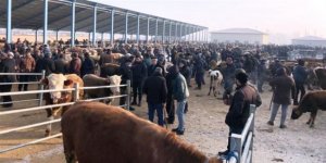 Selim Hayvan Pazarında da yüzler gülmüyor