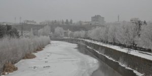 Kars’ta ağaçlar kırağı tuttu