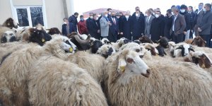 “Köyümde Yaşamak İçin Bir Sürü Nedenim Var Projesi” Kars'ta yüzleri güldürdü